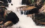 玉龍?jiān)?、響水?></a></dd>
  <dd>
	 

	

	 

	　　雨母山西北一個山皂，東西縱向長達(dá)1公里。有叫玉龍?jiān)?，有叫響水皂。該皂有響水泉和響水瀑布。在玉龍?jiān)砼c九龍沖相隔的山坳，叫玉龍騰山坳，簡稱玉龍坳。玉龍土皂現(xiàn)駐有供電所、林場和蒸湘區(qū)黨校。在玉龍?jiān)淼祝幸蝗_，叫玉龍臺。...[<a href=