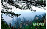 【純玩獨(dú)立成團(tuán)線路1】張家界、袁家界、天子山、寶峰湖/黃龍洞二晚三日