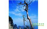湘西之旅：張家界、天子山、寶峰湖/黃龍洞、鳳凰古城、猛洞河漂流、天門山六日游