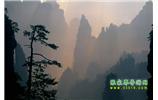 張家界國(guó)家森林公園、寶峰湖/黃龍洞、鳳凰古城、三峽八日游