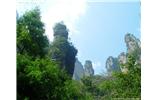【純玩拼團線路 張家界出發(fā)A2線】張家界、袁家界、天子山、金鞭溪、鳳凰古城2晚3日游